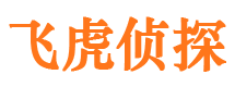 如东市调查公司